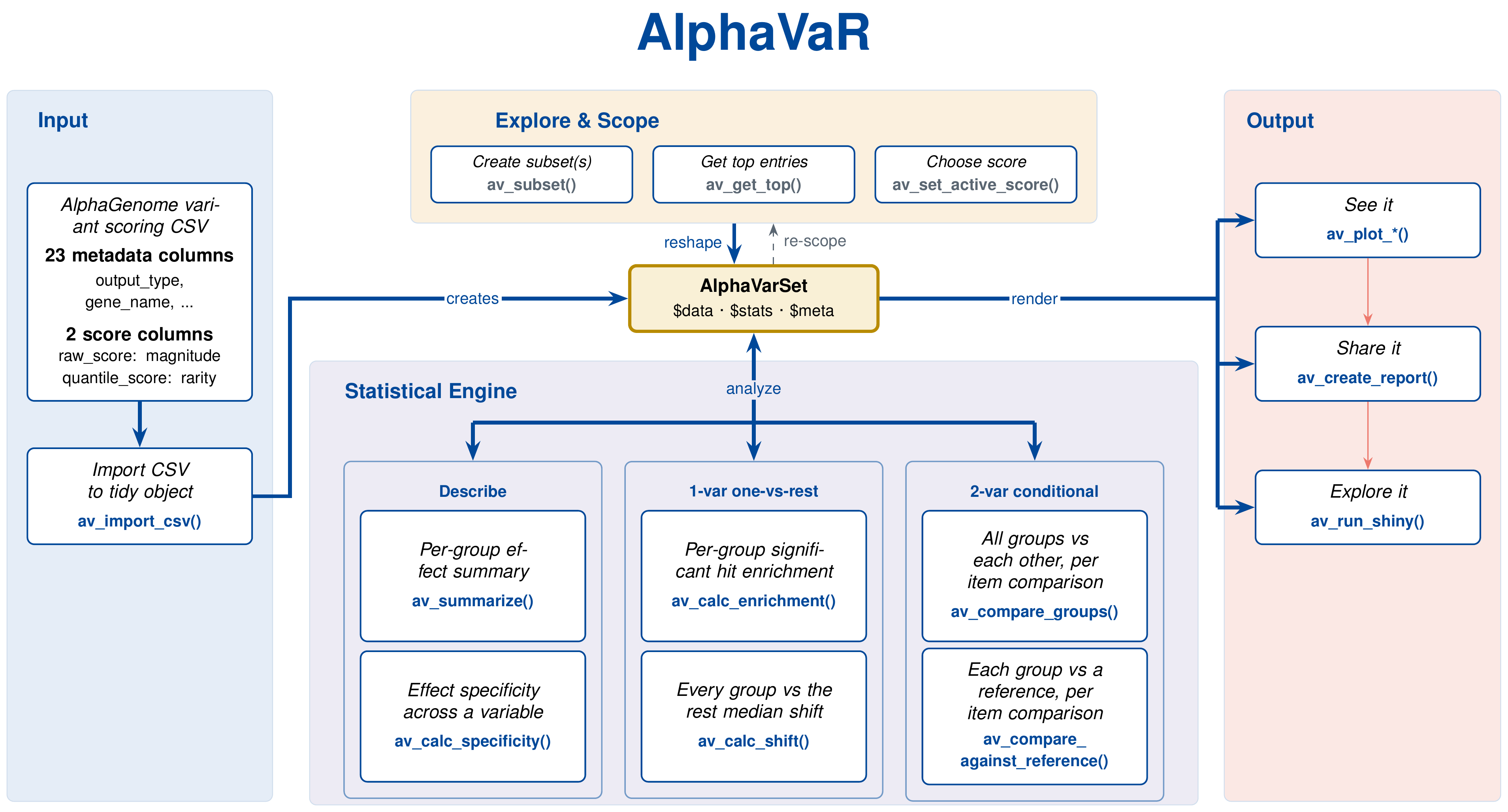 AlphaVaR workflow: an AlphaGenome CSV is imported and summarized, optionally scoped or subset, then passed through a statistical engine in which each calculation function answers one general question; the results feed plots, reports and a Shiny app.